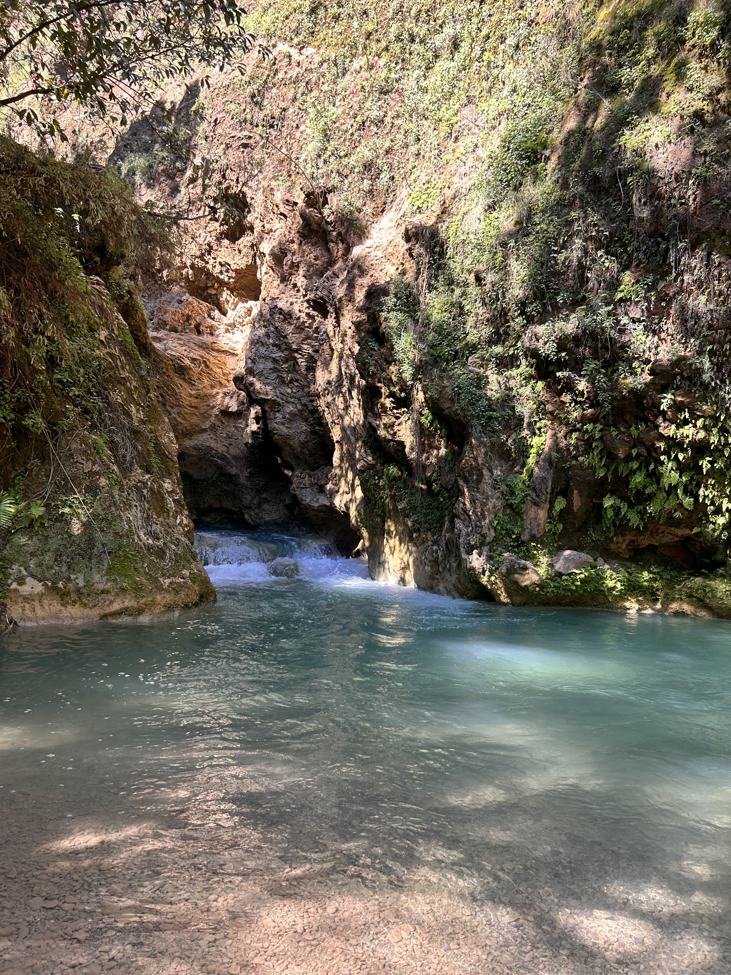 Encanto de la Mixteca