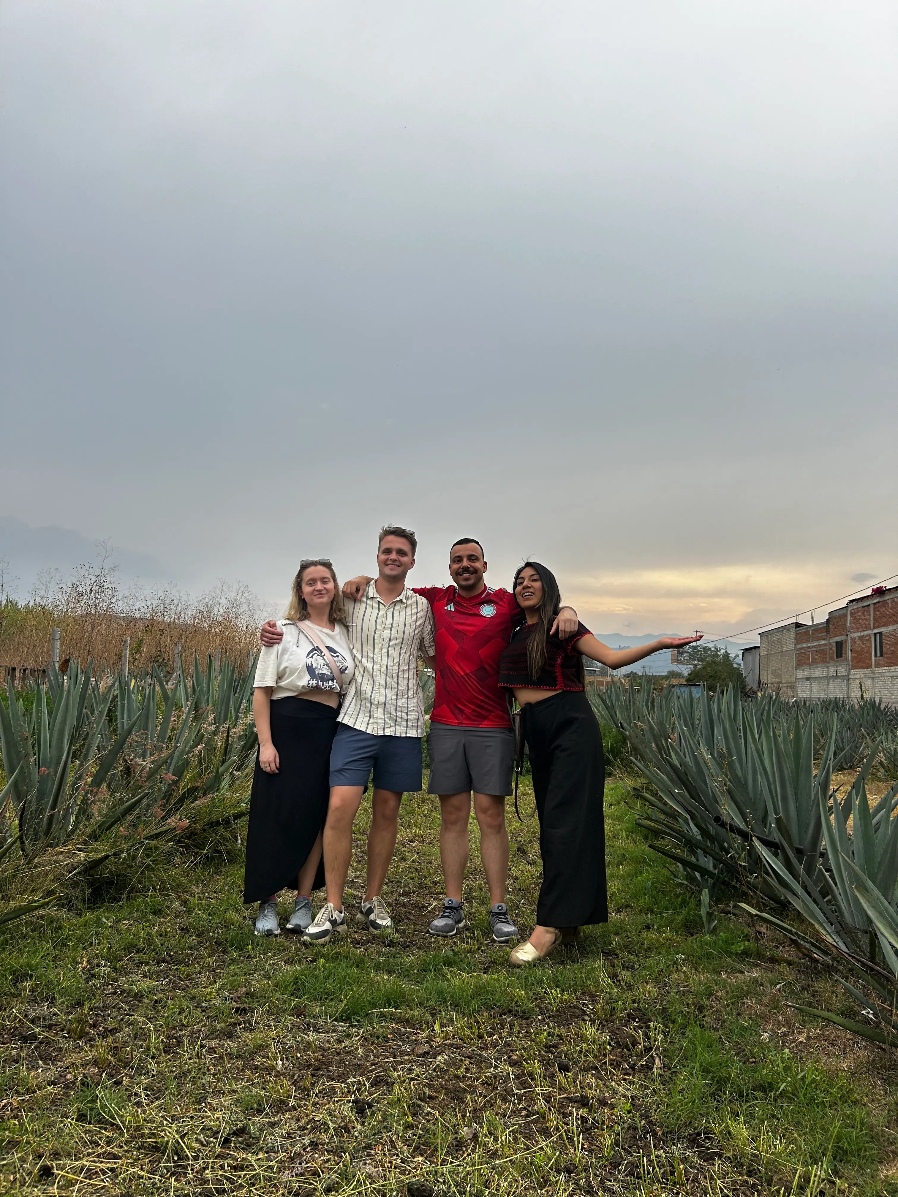 Imagen 3 de Experiencia de Mezcales Orgánicos