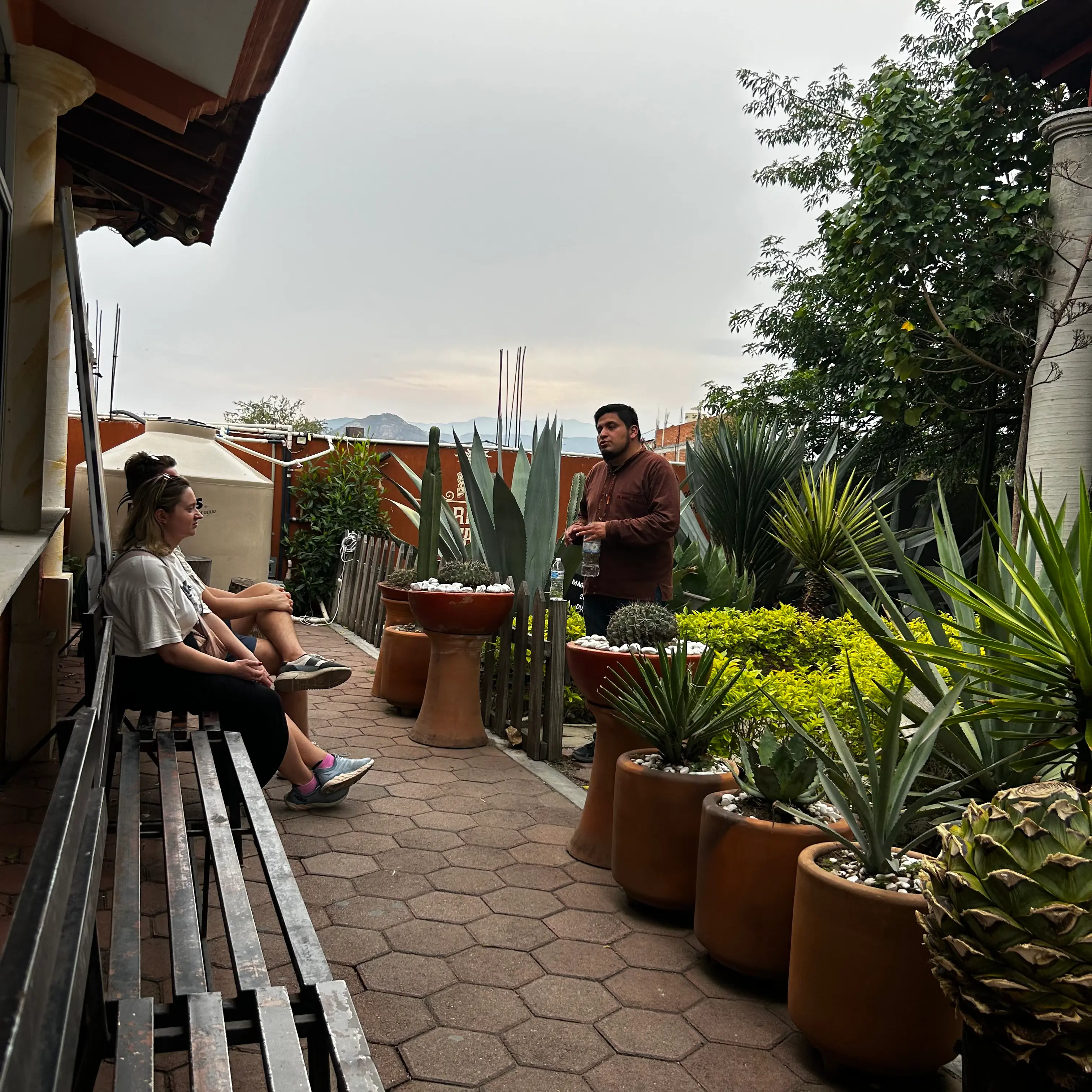 Imagen 1 de Experiencia de Mezcales Orgánicos