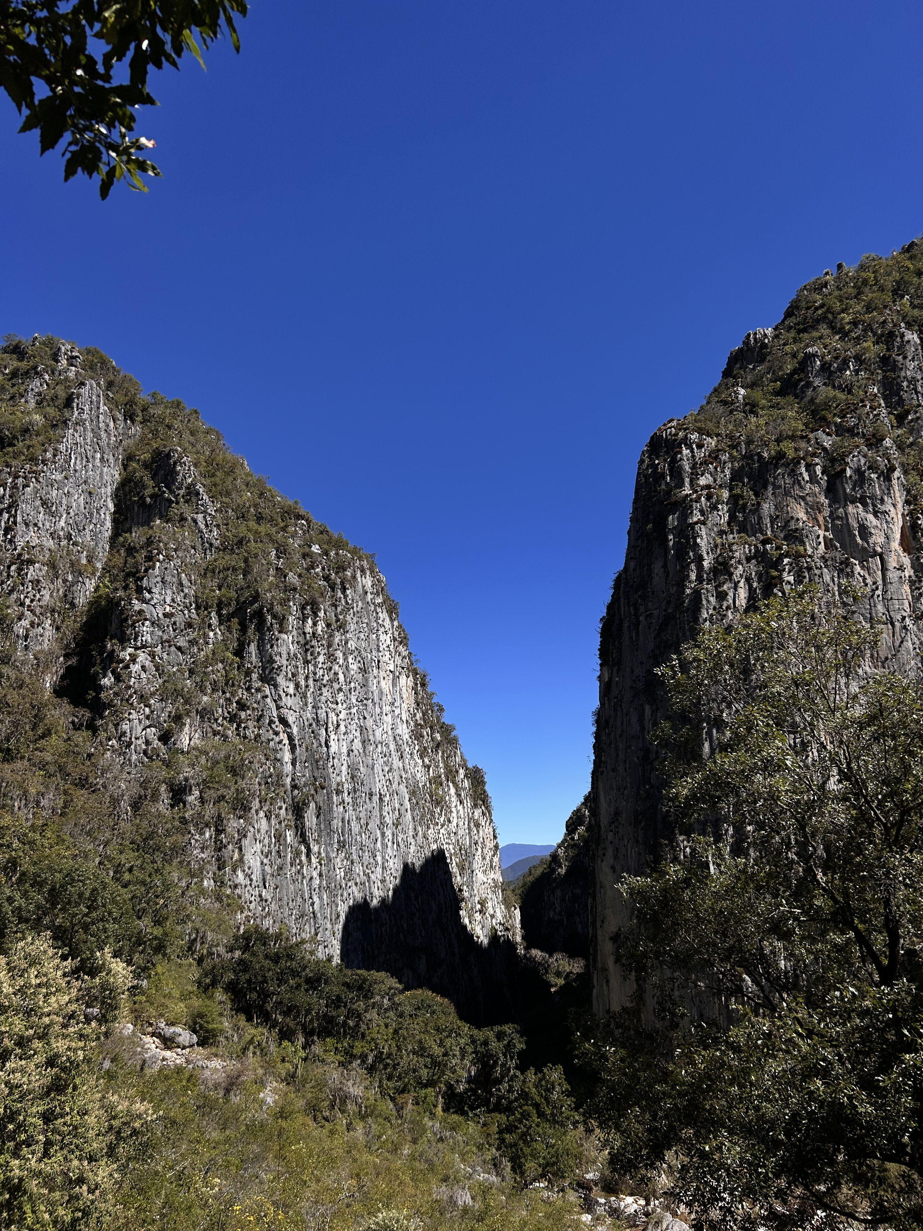 Imagen 2 de Encanto de la Mixteca